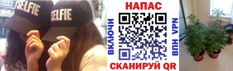 МАРИХУАНА план  сайты даркнета телеграм  Киселёвск  где купить наркоту 